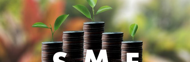 Get started with contract opportunities for SMEs