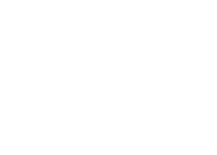 BiP Solutions Logo